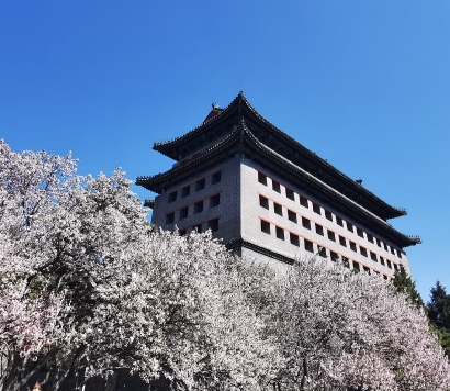 北京明城墻遺址公園攻略,明城墻遺址公園門(mén)票_地址,明城墻遺址公園游覽攻略